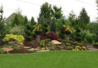 David Landscaping & Tree Services image 3