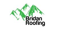 Bridan Roofing - San Antonio image 1