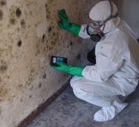 AA Mold Testing & Inspection image 1