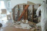 Top Water damage & Mold Removal service image 1