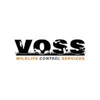 Voss Wildlife Control image 1