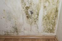 Mold Removal Experts of Las Vegas image 4