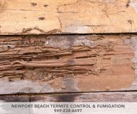 Newport Beach Termite Control & Fumigation image 4