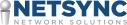 Netsync Network Solutions, Inc. logo