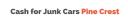 Cash For Junk Cars Pinecrest logo