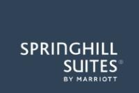 SpringHill Suites by Marriott Wisconsin Dells image 13