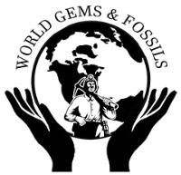World Gems & Fossils image 1