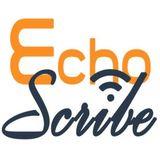 EchoScribe Inc. image 1
