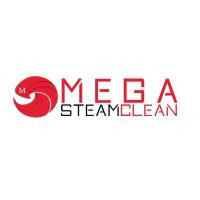 Mega Steam Clean image 1