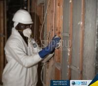FDP Mold Remediation of DC image 3