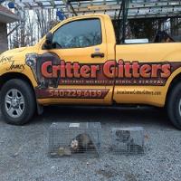 Jesse James Critter Gitters image 1