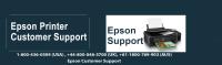 Epson Printer Support Number  image 1