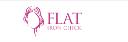 Flat Iron Chick logo