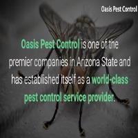 Oasis Pest Control of Phoenix image 2