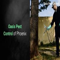 Oasis Pest Control of Phoenix image 3