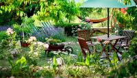 Garden Designs & Landscapes image 4