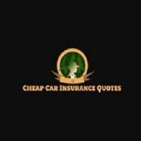 Cheap Car Insurance Arlington TX image 3