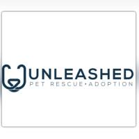 Unleashed Pet Rescue image 5