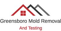 Greensboro Mold Removal & Testing image 1