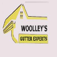 Woolley's Gutter Experts San Diego image 1