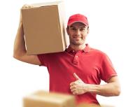 Best Option Movers image 3