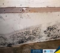 FDP Mold Remediation of Rockville image 11