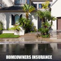 Auto International Insurance image 1