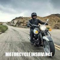 Auto International Insurance image 2