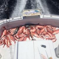 Total Package Fishing Charters image 3