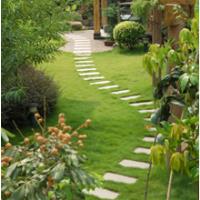 All Green Lawn & Landscaping image 2