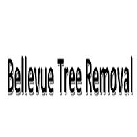 Bellevue Tree Removal image 1