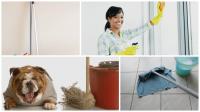 Capital Region White Glove Cleaning Services LLC image 3