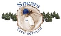 Spears Tree Service image 1