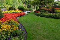 Town and Country Lawn Care Services - Blanchard image 1