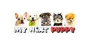 My Next Puppy logo