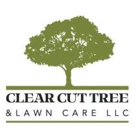 Clear Cut Tree & Lawn Care image 1