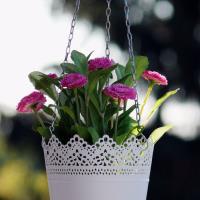 Berwick Floral & Gift image 3