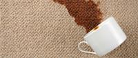 Classic 2000 Carpet Cleaning image 1