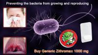 Buy Generic Zithromax 1000 mg image 2