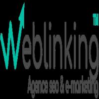 WEBLINKING SEO & EMARKETING image 1