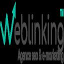 WEBLINKING SEO & EMARKETING logo