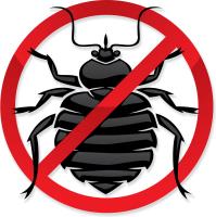 OCP Bed Bug Exterminator Cincinnati OH  image 3