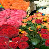 Petals, The Flower Shoppe Etc image 4