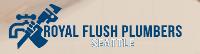 Royal Flush Plumbers Seattle image 1