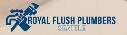 Royal Flush Plumbers Seattle logo
