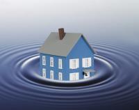 Cali Flood Services LLC image 1