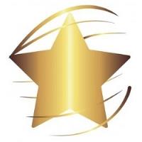 Gold Star Premium Roofing image 1