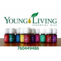 Young Living Essential Oils Distributor image 3