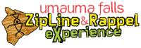 Umauma Falls Zipline & Rappel Experience image 1