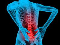 Spinal Backrack image 3